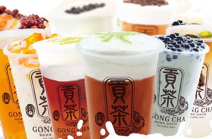 镇安贡茶培训